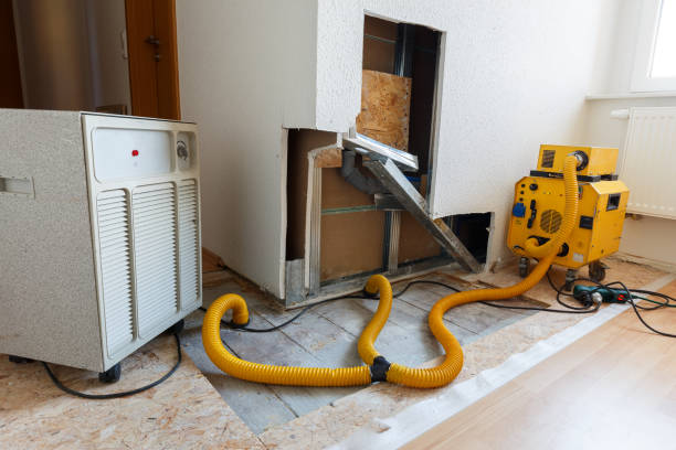 Mold Documentation for Insurance Claims in Montgomery, WV