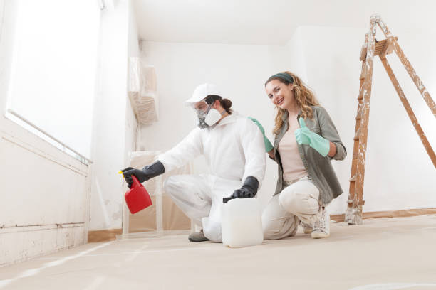 Best Emergency Mold Remediation  in Montgomery, WV